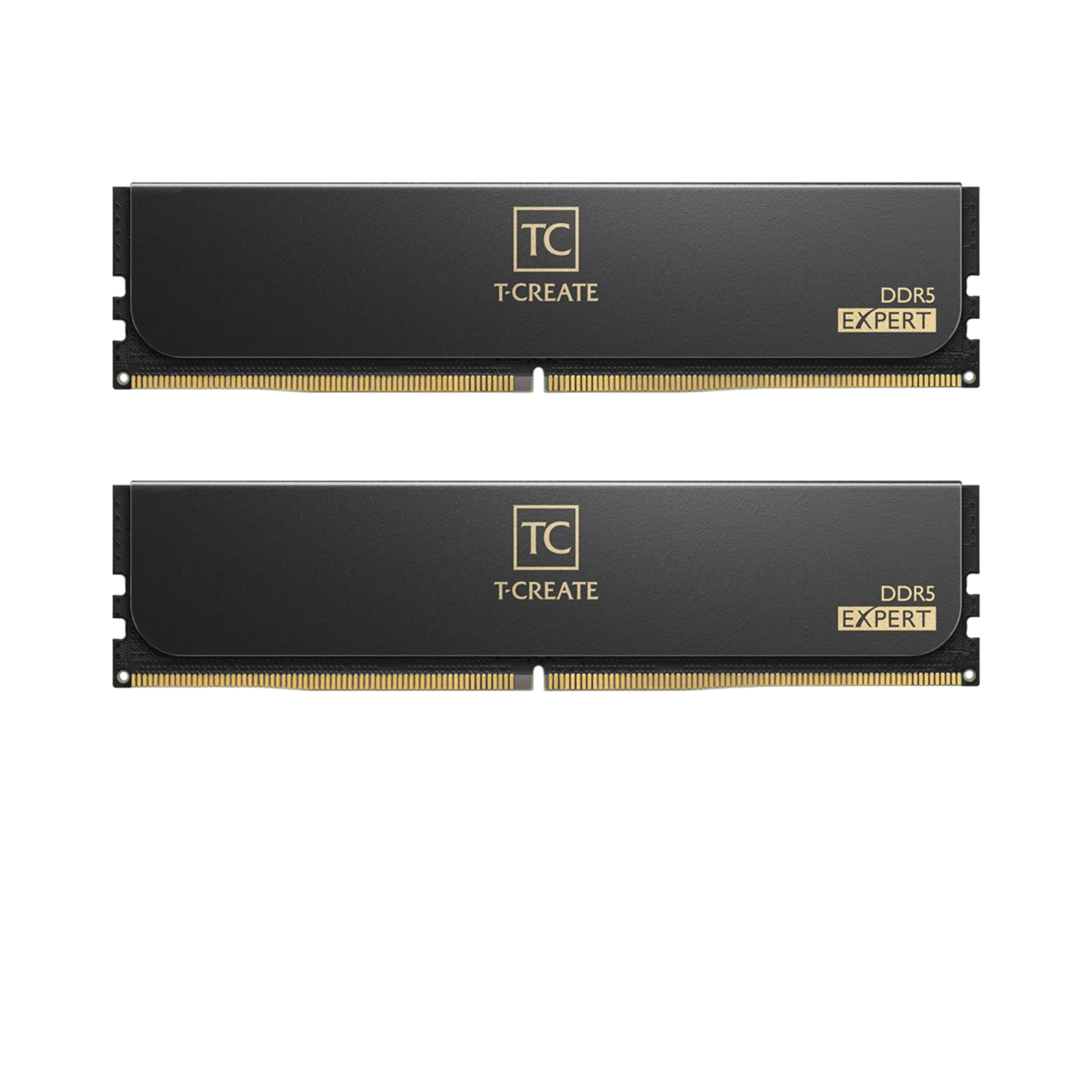 Оперативная память DDR5 64 Gb 6000 MHz Team Group T-CREATE Expert Black (CTCED564G6000HC34BDC01)