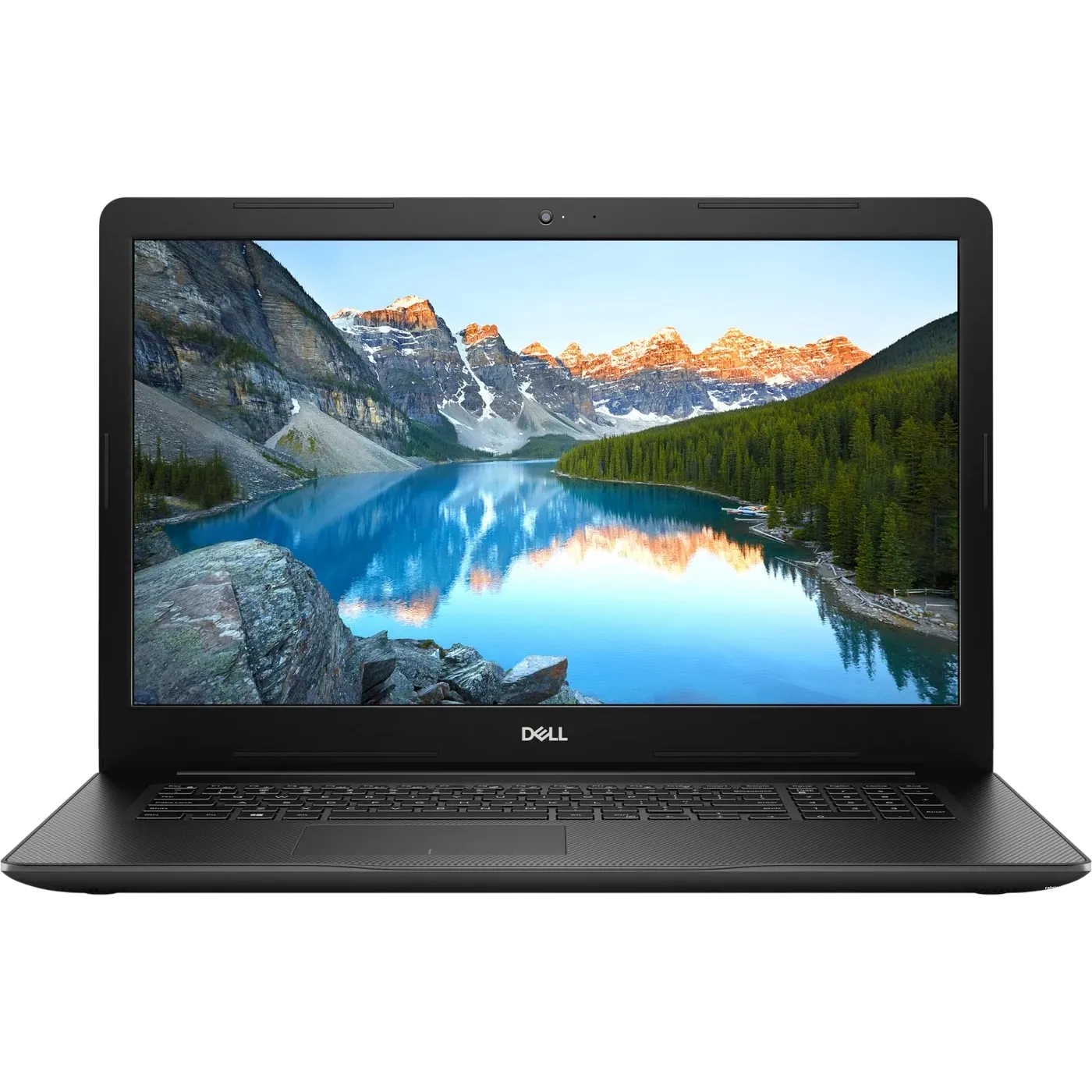 Ноутбук Dell Inspiron 3793-8115 (Core i5-1035G1/17.3"/1920x1080/8GB/1128GB HDD+SSD/DVD-RW/NVIDIA GeForce MX230 2GB/Linux) - фото