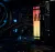 Оперативная память 8 Gb 6000 MHz Kingston FURY Beast RGB EXPO Black (KF560C36BBEA-8) купить! 