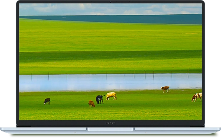 Ноутбук HONOR MagicBook X14 Plus 2025 (Core 5 220H/14"/2880x1800/32Gb/4Тб/Win 11 Home) Синий - фото