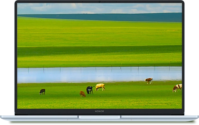 Ноутбук HONOR MagicBook X14 Plus 2025 (Core 5 220H/14"/2880x1800/32Gb/1Тб/Win 11 Home) 5301ALXY Светло-голубой. - фото