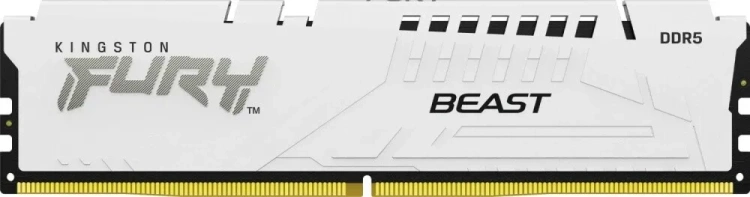 Оперативная память 32Gb DDR5 6000MHz Kingston Fury Beast White (KF560C36BWE-32) купить! 