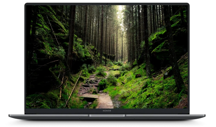 Ноутбук HONOR MagicBook X16 (Core i3-1315U/16"/1920x1080/8GB/512GB SSD/Intel UHD Graphics/DOS) - фото