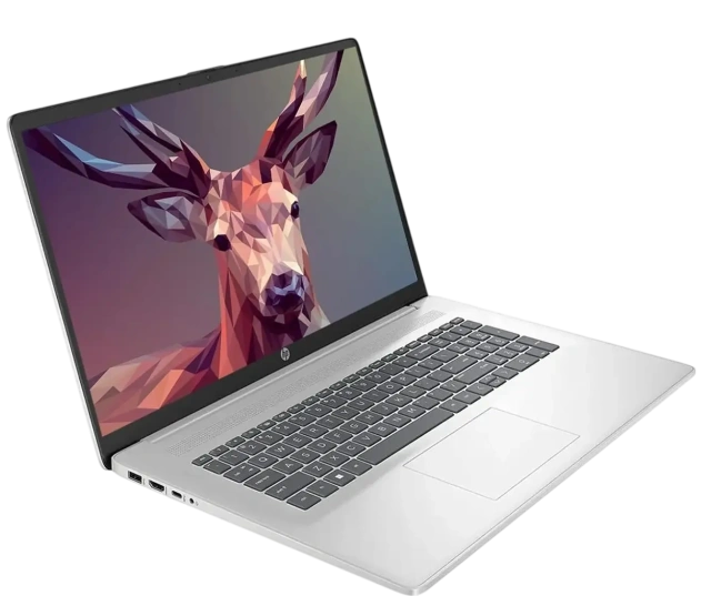 Ноутбук HP 17-cp3155cl (AMD Ryzen 5 7430U/17.3" Touchscreen 1600x900/64Gb/2Tb SSD/Wi-Fi/BT/Win 11 Pro) Silver - фото