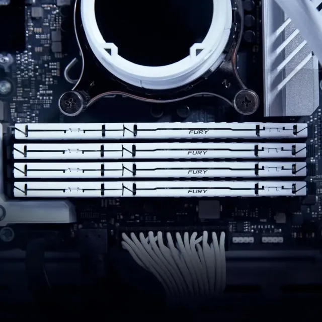 Оперативная память DDR5 32 Gb 5600 MHz Kingston FURY Beast AMD White (KF556C36BWEK2-32) купить! 