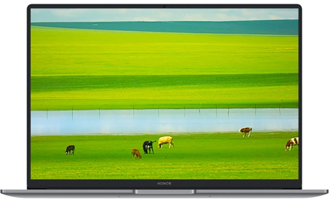 Ноутбук HONOR MagicBook X16 Plus (Intel Core 5 220H/16"/2560x1600/16Gb/2Tb SSD/Windows 11 Home) Серый 5301ALYM - фото