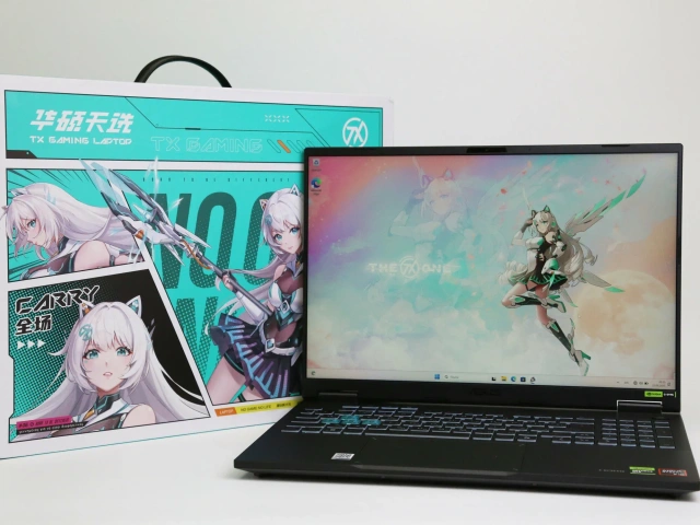 Ноутбук Asus TUF Gaming FA608PP8940 (AMD Ryzen 9 8940HX/16" 2560x1600/16Gb/1024Gb SSD/NVIDIA GeForce RTX 5070 8Gb/Win 11 Pro) Gray - фото