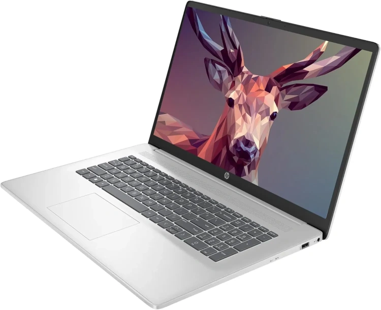 Ноутбук HP 17-cp3155cl (AMD Ryzen 5 7430U/17.3" Touchscreen 1600x900/32Gb/1Tb SSD/Wi-Fi/BT/Win 11 Pro) Silver - фото