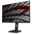 Монитор AOC 23.8" Professional 24P1(00/01)  FHD IPS LED 16:9 DVI HDMI DisplayPort M/M Mat HAS Pivo, черный