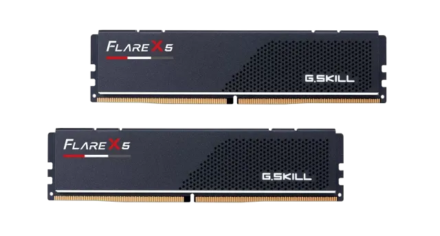 Оперативная память DDR5 64 Gb 6000 MHz G.Skill FLARE X5 Black (F5-6000J3636F32GX2-FX5) купить! 