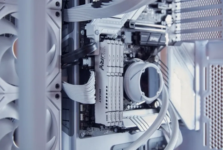 Оперативная память 32Gb DDR5 6000MHz Kingston Fury Beast White (KF560C36BWE-32) купить! 