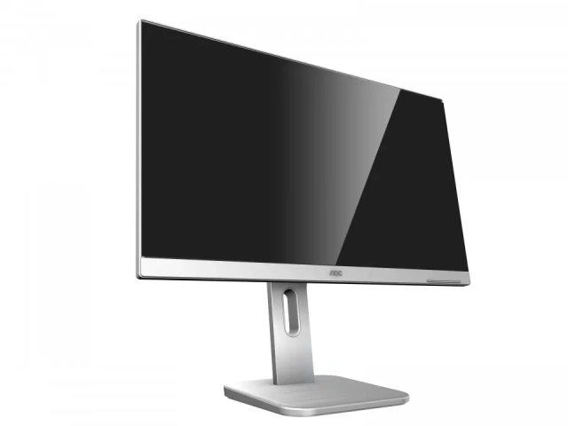 Монитор AOC 24" Professional X24P1/GR серый IPS LED 16:10 DVI HDMI M/M матовая HAS Pivot 1000:1 300cd 178гр/178гр 1920x1200 D-Sub DisplayPort FHD USB 5.5кг