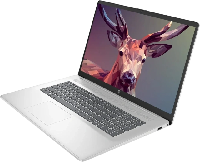 Ноутбук HP 17-cp3155cl (AMD Ryzen 5 7430U/17.3" Touchscreen 1600x900/16Gb/2Tb SSD/Wi-Fi/BT/Win 11 Pro) Silver - фото