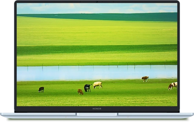 Ноутбук HONOR MagicBook X16 Plus 2025 BRB-5211 (Core 5 220H/16.1"/2.5K/32 Гб/2Tb SSD/Graphics/Win 11) 5301ALYK Blue - фото