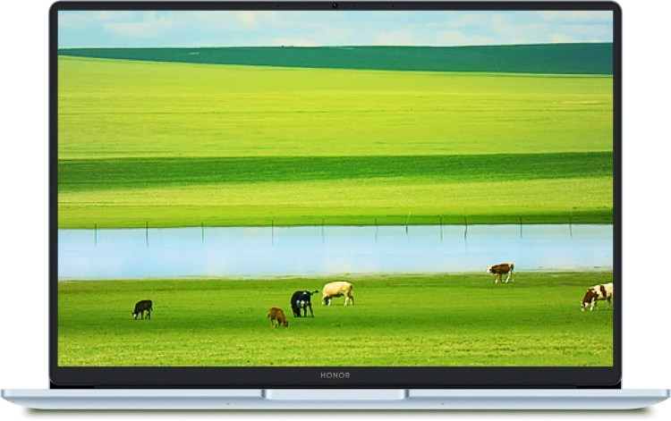 Ноутбук HONOR MagicBook X16 Plus 2025 BRB-5211 (Core 5 220H/16.1"/2.5K/32 Гб/2Tb SSD/Graphics/Win 11) 5301ALYK Blue - фото