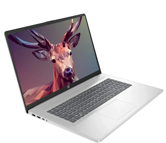 Ноутбук HP 17-cp3155cl (AMD Ryzen 5 7430U/17.3" Touchscreen 1600x900/16Gb/2Tb SSD/Wi-Fi/BT/Win 11 Pro) Silver - фото