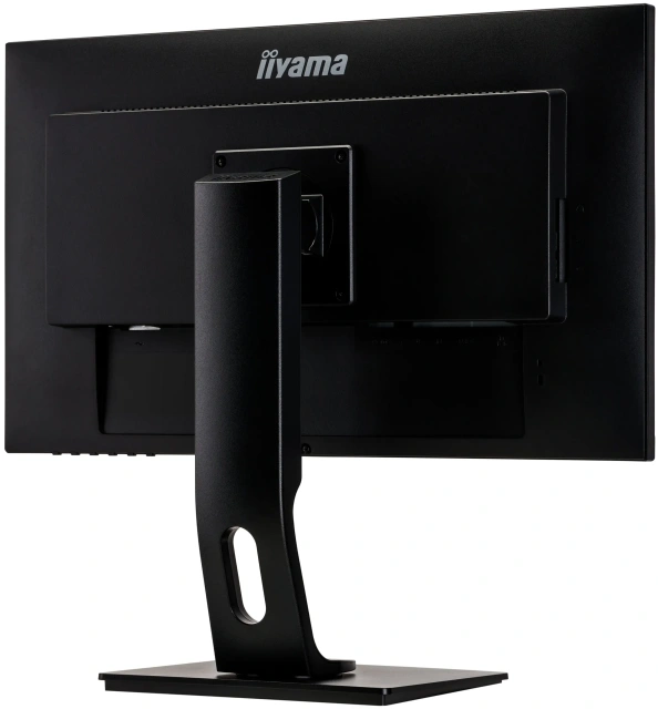 Монитор Iiyama 23.8" ProLite XUB2492HSN-B1 черный (XUB2492HSN-B1)