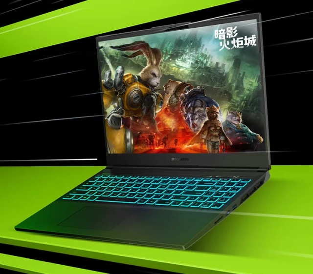 Ноутбук Mechrevo Dragon 16K (AMD Ryzen 7 7435H/16" 1980x1200/16Gb/1024Gb SSD/NVIDIA GeForce RTX 4050 6Gb/Win 11 H) Gray - фото