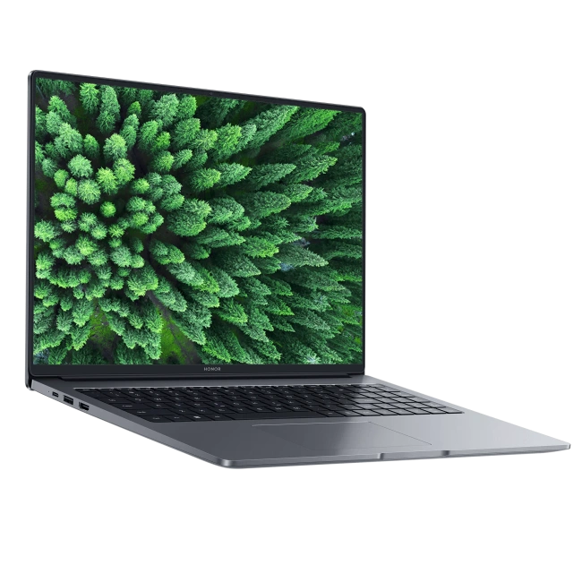 Ноутбук HONOR MagicBook X16 2025 (Core i7-13620H/16"/1920х1200/16Gb/1Tb SSD/Intel UHD Graphics/Win 11) 5301ALNC - фото