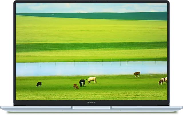 Ноутбук HONOR MagicBook X16 Plus 2025 BRB-5211 (Core 5 220H/16.1"/2.5K/32 Гб/1Tb SSD/Graphics/Win 11) 5301ALYK Blue - фото