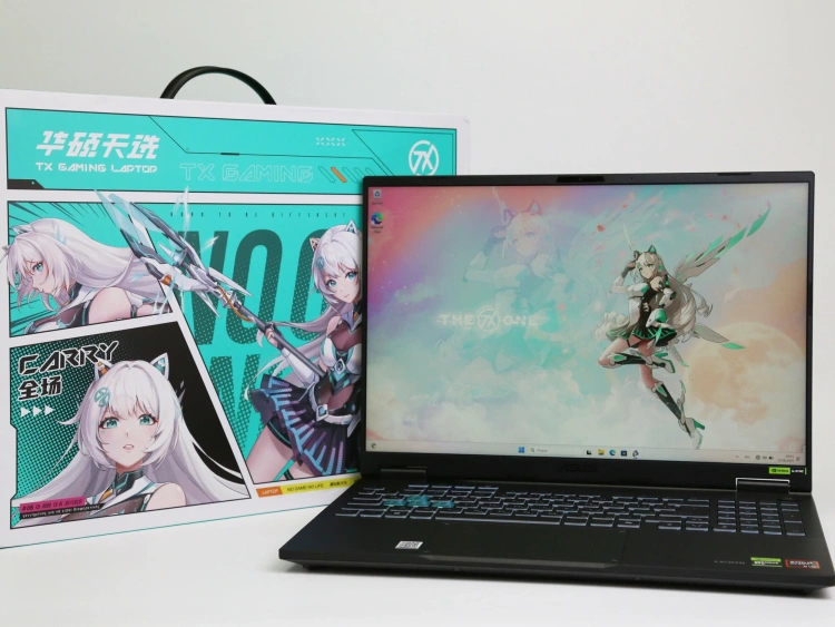 Ноутбук Asus TUF Gaming FA608PM (AMD Ryzen 9 8940HX/16" 2560x1600/16Gb/1Tb SSD/NVIDIA GeForce RTX 5060 8Gb/Win 11 Pro) Gray - фото