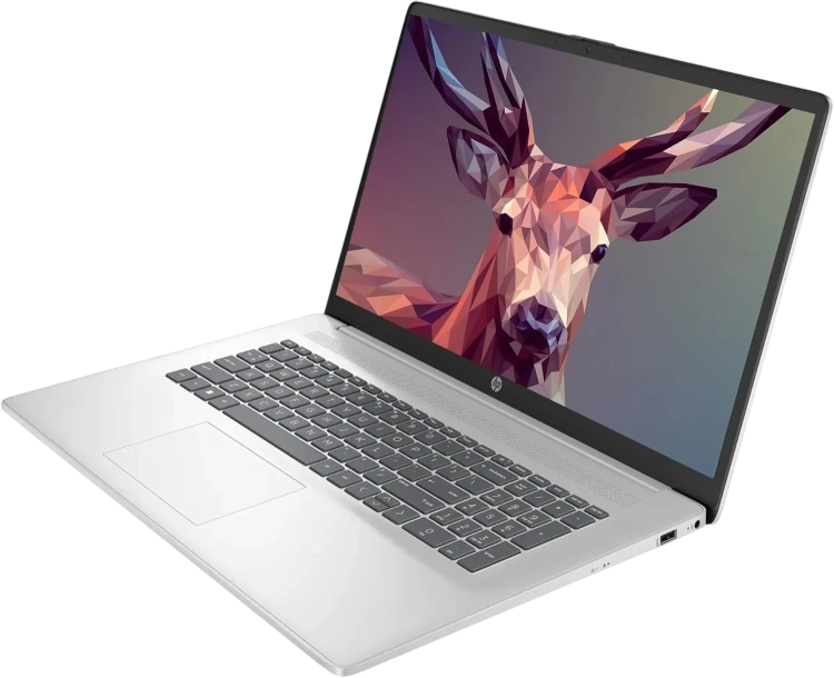 Ноутбук HP 17-cp3155cl (AMD Ryzen 5 7430U/17.3" Touchscreen 1600x900/64Gb/2Tb SSD/Wi-Fi/BT/Win 11 Pro) Silver - фото