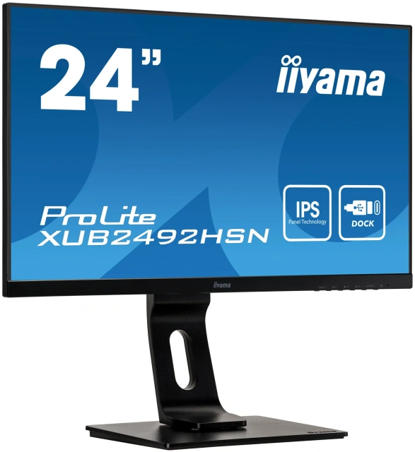Монитор Iiyama 23.8" ProLite XUB2492HSN-B1 черный (XUB2492HSN-B1)